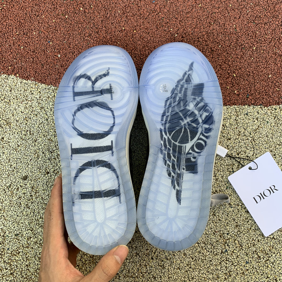 Air Jordan 1 low x Dior