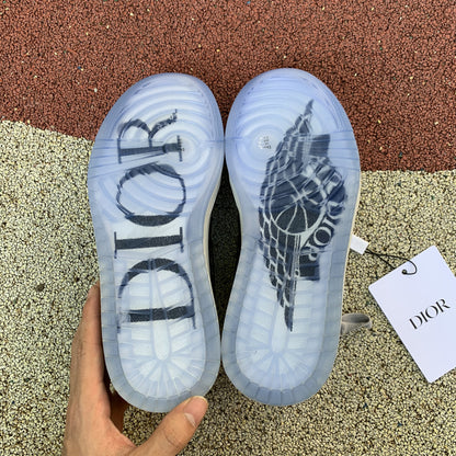 Air Jordan 1 low x Dior