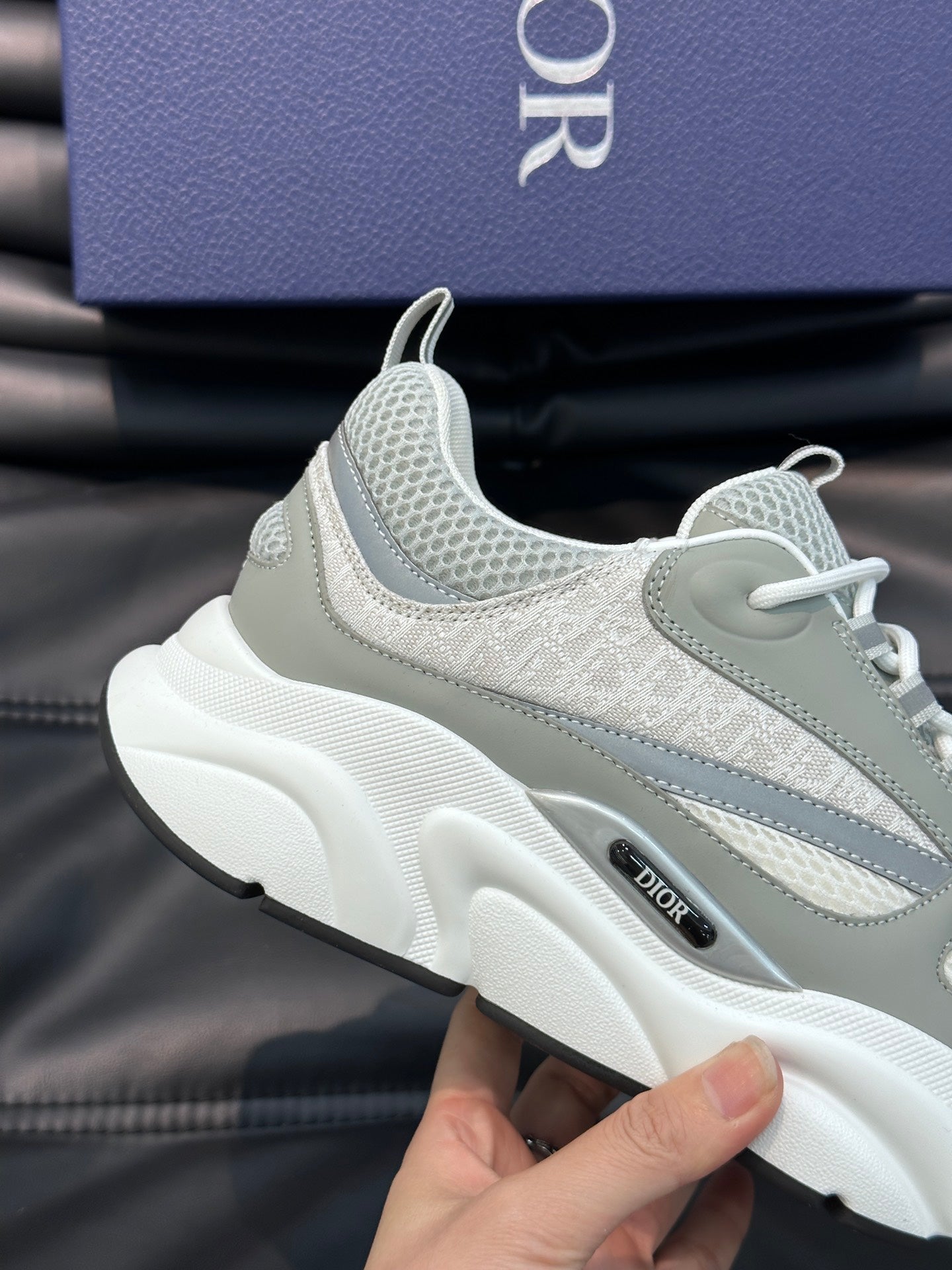 Dior Sneakers B22